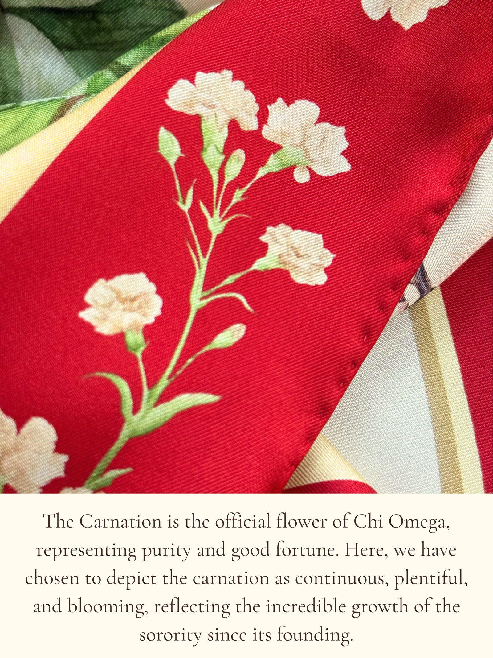 Chi Omega Sorority Scarf - Image 6