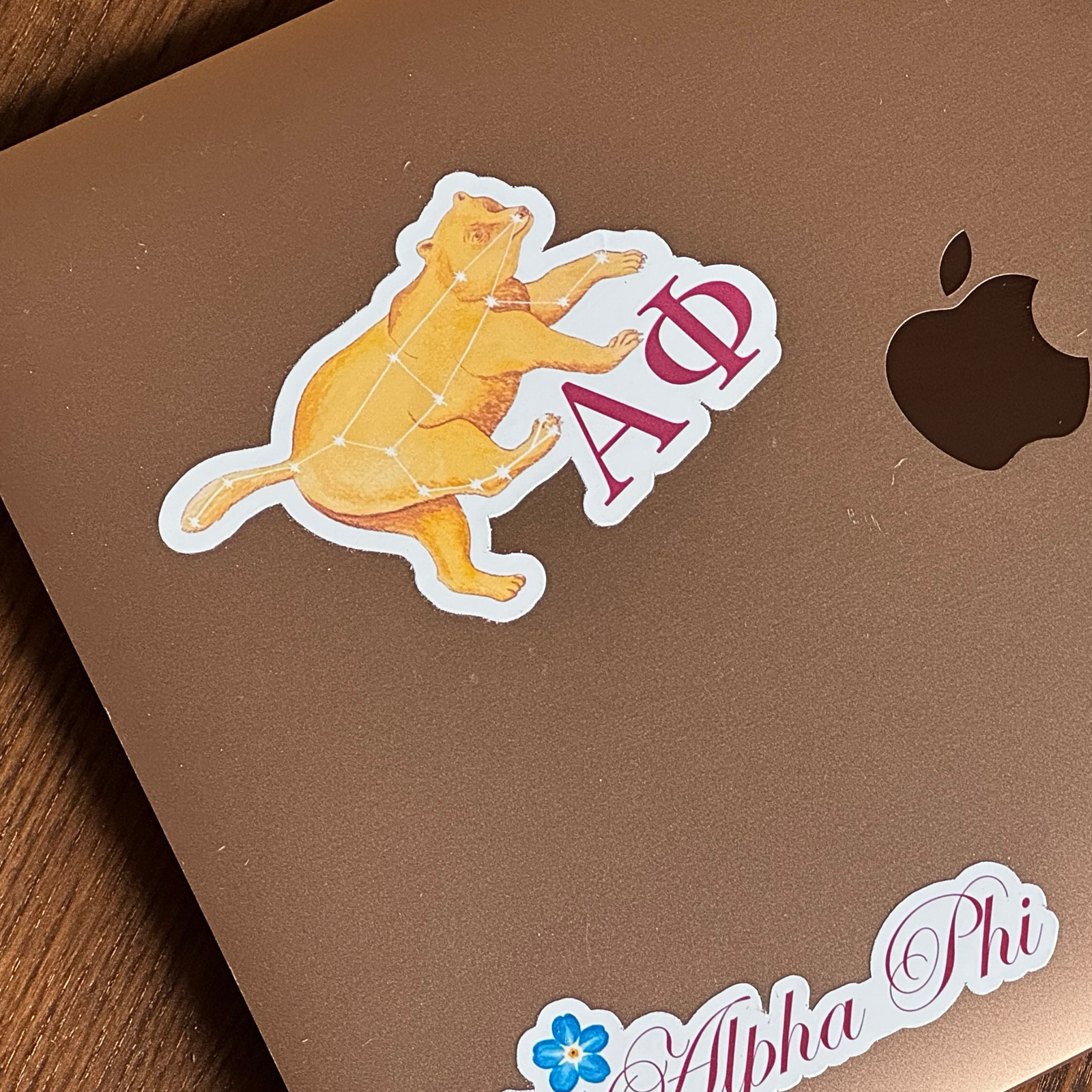 Alpha Phi "Phi Bear" Sticker - Image 2
